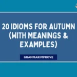 Idioms for Autumn (With Meanings & Examples)