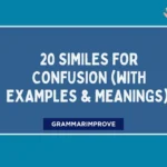 Similes for Confusion (With Examples & Meanings)