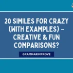 Similes for Crazy (With Examples) – Creative & Fun Comparisons
