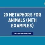 Metaphors for Animals (With Examples)