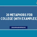 Metaphors for College (With Examples)