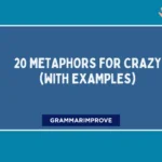 Metaphors for Crazy (With Examples)