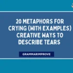 Metaphors for Crying (With Examples) Creative Ways to Describe Tears