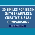 Similes for Brain (With Examples) Creative & Easy Comparisons