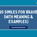 Similes for Brave (With Meaning & Examples)